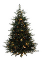 Juletre Basis 350 LED 210 cm